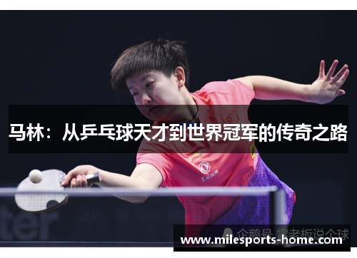 马林：从乒乓球天才到世界冠军的传奇之路